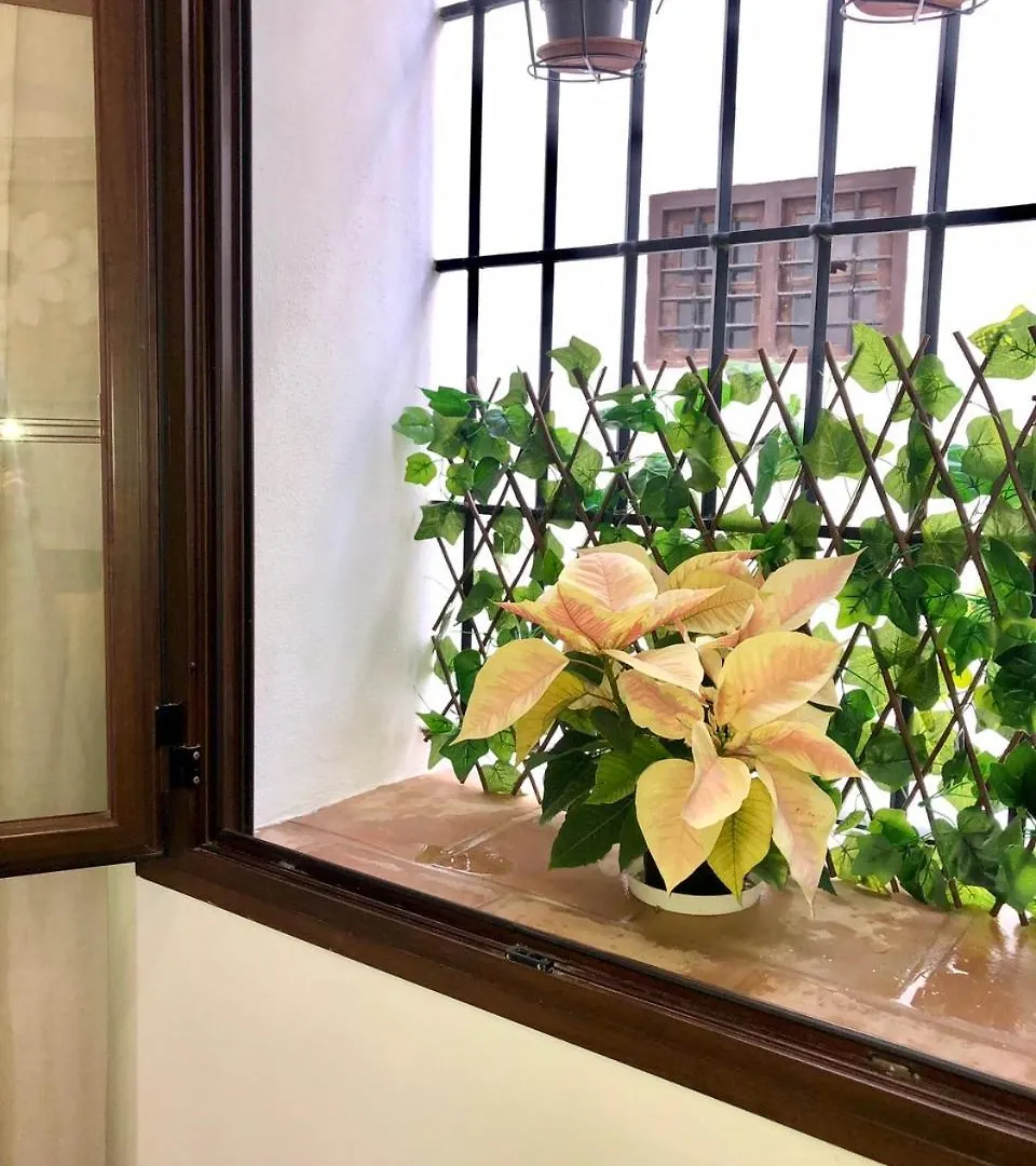 Apartamento El Museo Écija